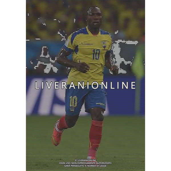 FIFA World Cup Brasile 2014 Gruppo E Rio de Janeiro - 25.06.2014 Ecuador-Francia Nella Foto:Ayovi Walter /Ph.Vitez-Ag. Aldo Liverani