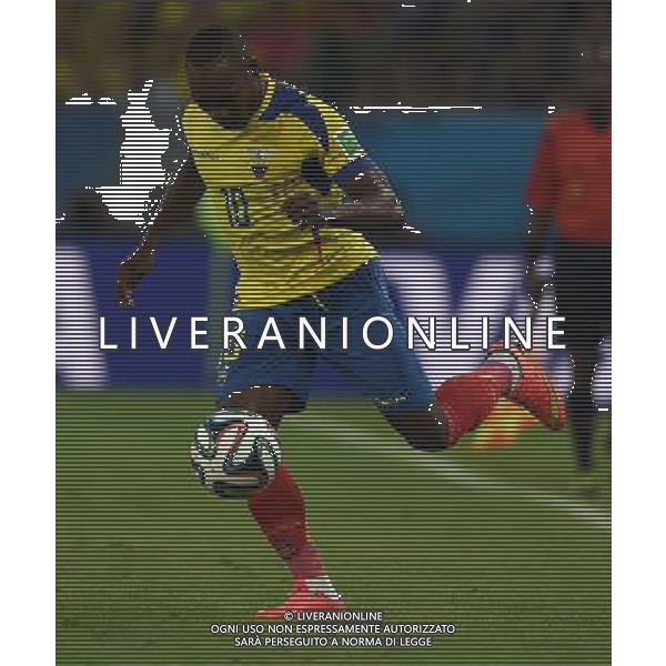 FIFA World Cup Brasile 2014 Gruppo E Rio de Janeiro - 25.06.2014 Ecuador-Francia Nella Foto:Ayovi Walter /Ph.Vitez-Ag. Aldo Liverani