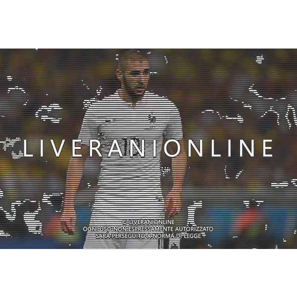 FIFA World Cup Brasile 2014 Gruppo E Rio de Janeiro - 25.06.2014 Ecuador-Francia Nella Foto:Benzema Karim /Ph.Vitez-Ag. Aldo Liverani