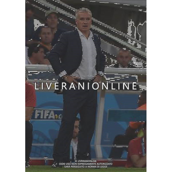 FIFA World Cup Brasile 2014 Gruppo E Rio de Janeiro - 25.06.2014 Ecuador-Francia Nella Foto:Deschamps Didier /Ph.Vitez-Ag. Aldo Liverani