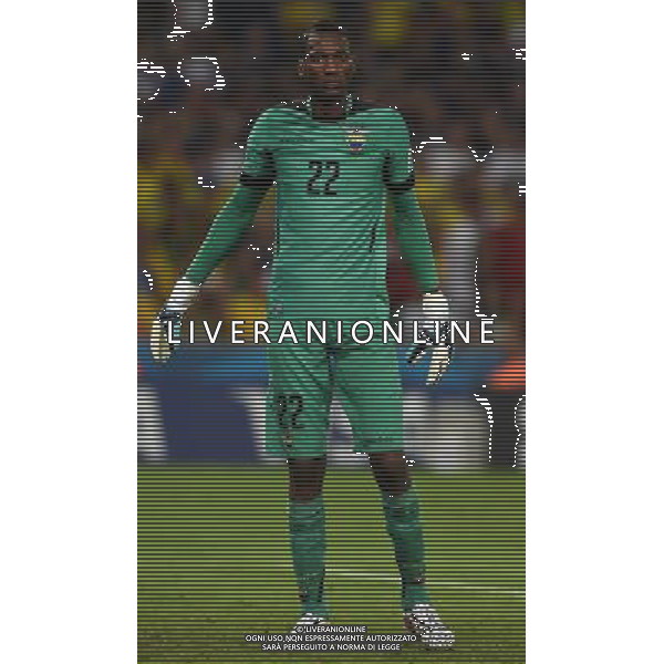 FIFA World Cup Brasile 2014 Gruppo E Rio de Janeiro - 25.06.2014 Ecuador-Francia Nella Foto:Dominguez Alexander /Ph.Vitez-Ag. Aldo Liverani