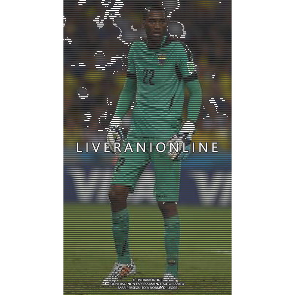 FIFA World Cup Brasile 2014 Gruppo E Rio de Janeiro - 25.06.2014 Ecuador-Francia Nella Foto:Dominguez Alexander /Ph.Vitez-Ag. Aldo Liverani