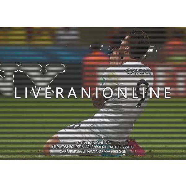 FIFA World Cup Brasile 2014 Gruppo E Rio de Janeiro - 25.06.2014 Ecuador-Francia Nella Foto:Giroud Olivier /Ph.Vitez-Ag. Aldo Liverani