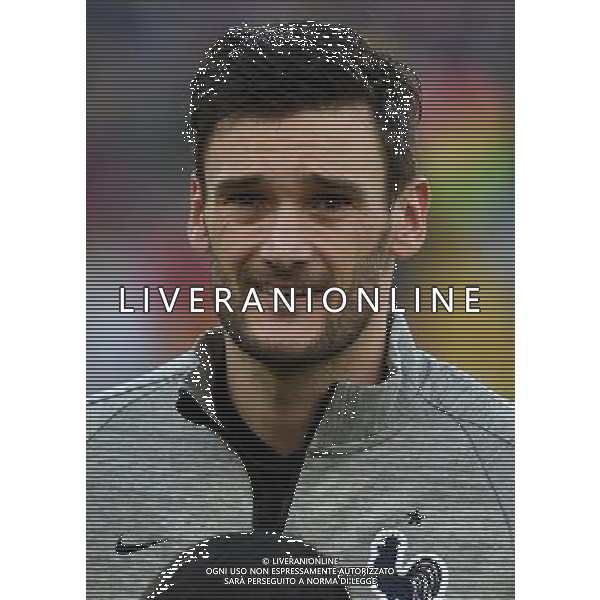 FIFA World Cup Brasile 2014 Gruppo E Rio de Janeiro - 25.06.2014 Ecuador-Francia Nella Foto:Lloris Hugo /Ph.Vitez-Ag. Aldo Liverani