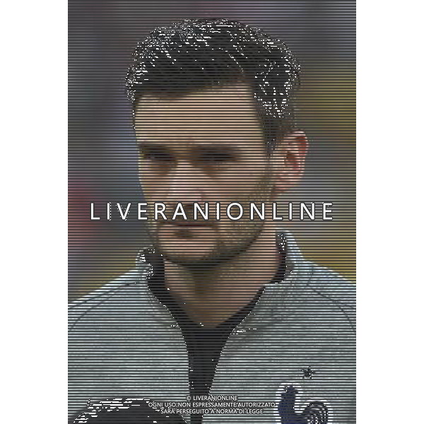 FIFA World Cup Brasile 2014 Gruppo E Rio de Janeiro - 25.06.2014 Ecuador-Francia Nella Foto:Lloris Hugo /Ph.Vitez-Ag. Aldo Liverani