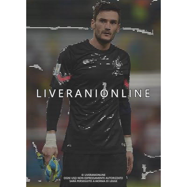 FIFA World Cup Brasile 2014 Gruppo E Rio de Janeiro - 25.06.2014 Ecuador-Francia Nella Foto:Lloris Hugo /Ph.Vitez-Ag. Aldo Liverani