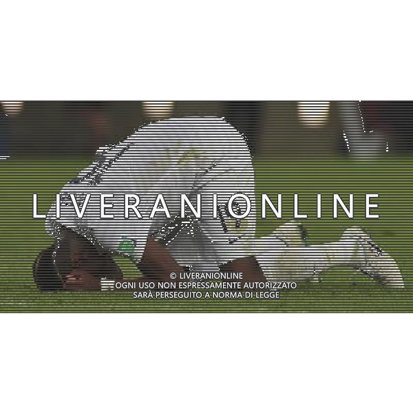 FIFA World Cup Brasile 2014 Gruppo E Rio de Janeiro - 25.06.2014 Ecuador-Francia Nella Foto:Pogba Paul /Ph.Vitez-Ag. Aldo Liverani