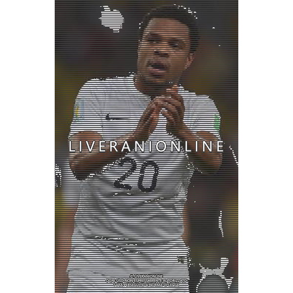 FIFA World Cup Brasile 2014 Gruppo E Rio de Janeiro - 25.06.2014 Ecuador-Francia Nella Foto:Remy Loic /Ph.Vitez-Ag. Aldo Liverani