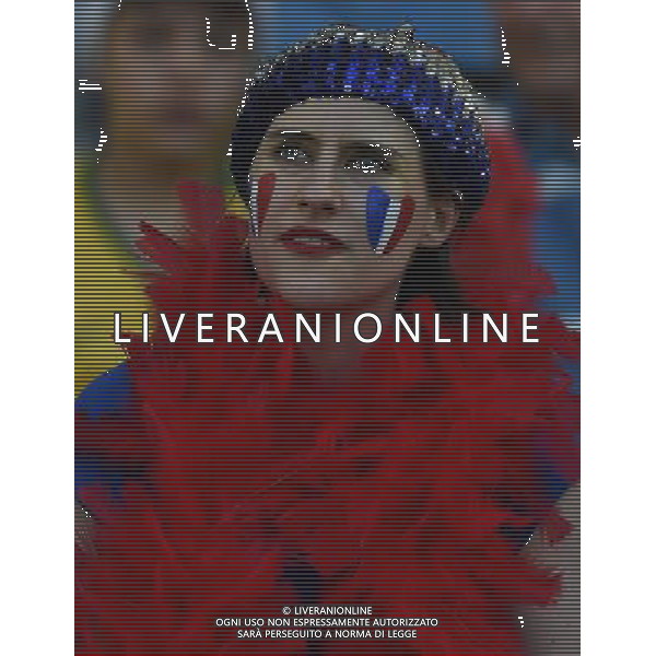 FIFA World Cup Brasile 2014 Gruppo E Rio de Janeiro - 25.06.2014 Ecuador-Francia Nella Foto:Tifosi Francia /Ph.Vitez-Ag. Aldo Liverani