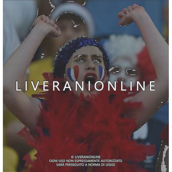 FIFA World Cup Brasile 2014 Gruppo E Rio de Janeiro - 25.06.2014 Ecuador-Francia Nella Foto:Tifosi Francia /Ph.Vitez-Ag. Aldo Liverani