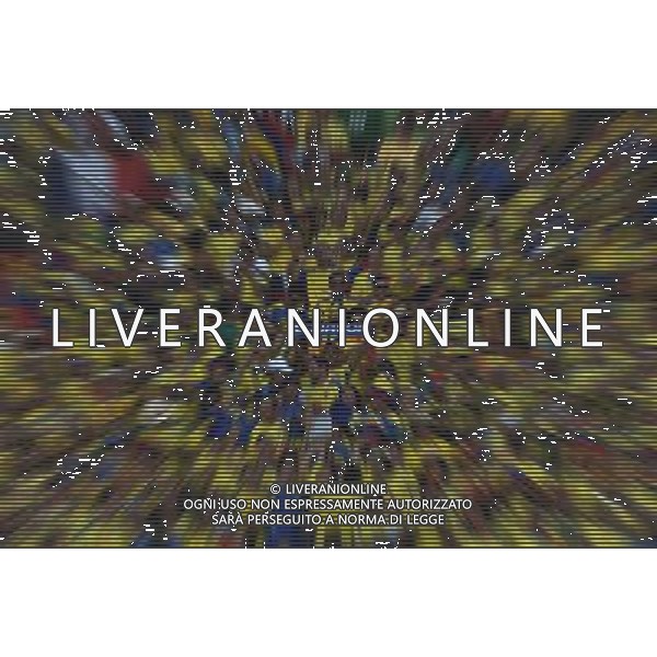 FIFA World Cup Brasile 2014 Gruppo E Rio de Janeiro - 25.06.2014 Ecuador-Francia Nella Foto:Tifosi Ecuador /Ph.Vitez-Ag. Aldo Liverani