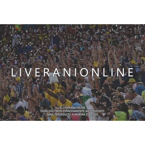 FIFA World Cup Brasile 2014 Gruppo E Rio de Janeiro - 25.06.2014 Ecuador-Francia Nella Foto:Tifosi /Ph.Vitez-Ag. Aldo Liverani