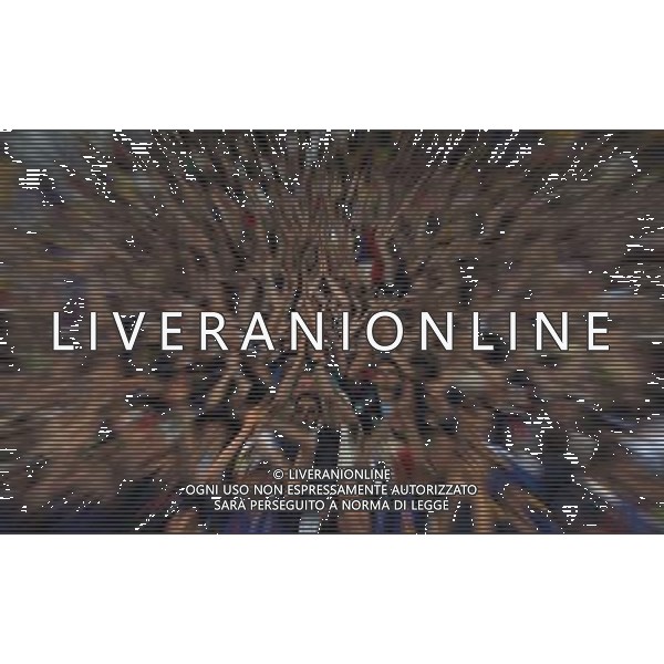 FIFA World Cup Brasile 2014 Gruppo E Rio de Janeiro - 25.06.2014 Ecuador-Francia Nella Foto:Tifosi /Ph.Vitez-Ag. Aldo Liverani