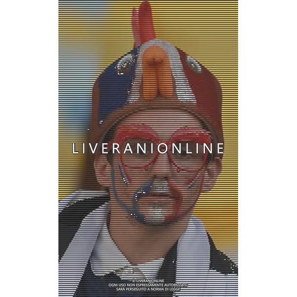 FIFA World Cup Brasile 2014 Gruppo E Rio de Janeiro - 25.06.2014 Ecuador-Francia Nella Foto:Tifosi Francia /Ph.Vitez-Ag. Aldo Liverani