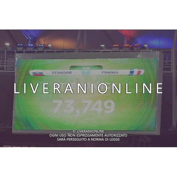 Affluence - 25.06.2014 - France / Equateur - Coupe du Monde 2014 - Photo : Dave Winter / Icon Sport AG ALDOL IVERANI SAS ONLY ITALY