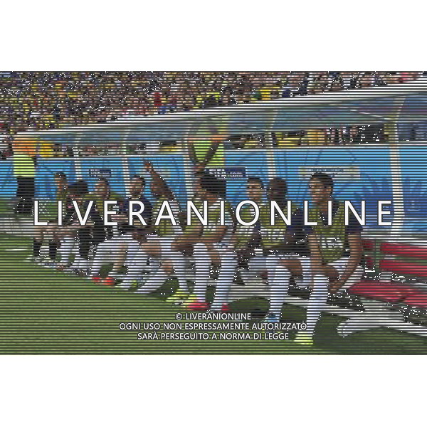 Banc des remplacements - 25.06.2014 - France / Equateur - Coupe du Monde 2014 - Photo : Dave Winter / Icon Sport AG ALDOL IVERANI SAS ONLY ITALY