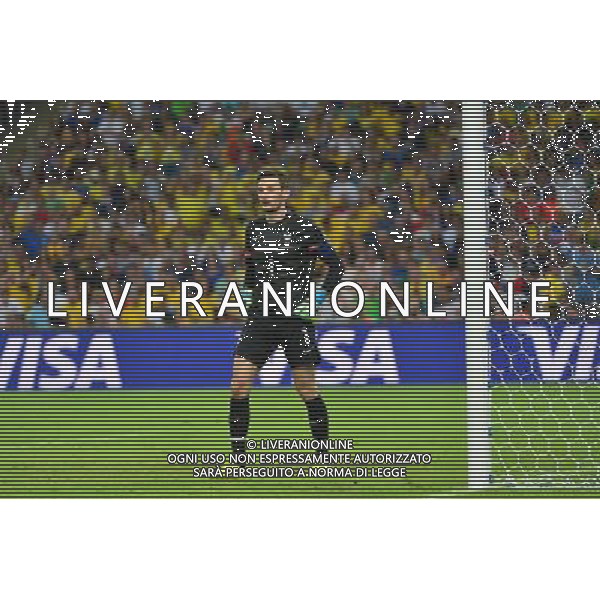 Hugo LLORIS - 25.06.2014 - France / Equateur - Coupe du Monde 2014 - Photo : Dave Winter / Icon Sport AG ALDOL IVERANI SAS ONLY ITALY