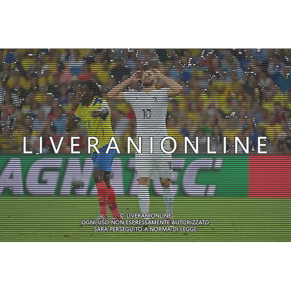 Karim BENZEMA - 25.06.2014 - France / Equateur - Coupe du Monde 2014 - Photo : Dave Winter / Icon Sport AG ALDOL IVERANI SAS ONLY ITALY