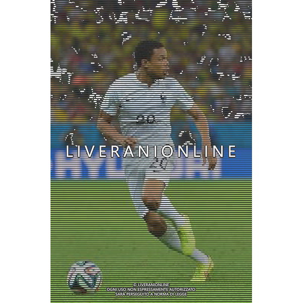 Loic REMY- 25.06.2014 - France / Equateur - Coupe du Monde 2014 - Photo : Dave Winter / Icon Sport AG ALDOL IVERANI SAS ONLY ITALY