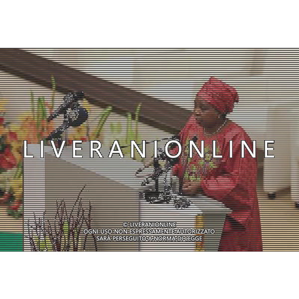(140626) -- MALABO, June 26, 2014 () -- African Union (AU) Commission Chairperson Nkosazana Dlamini-Zuma addresses the opening ceremony of the 23rd Ordinary Session of the Assembly of African Union (AU) in Malabo, capital of Equatorial Guinea, June 26, 2014. The 23rd Ordinary Session of the Assembly of the AU kicked off here on Thursday with the theme of \'Agriculture and Food Security\'. (/Meng Chenguang) (lyi) ©PHOTOSHOT/Agenzia Aldo Liverani sas - ITALY ONLY - EDITORIAL USE ONLY