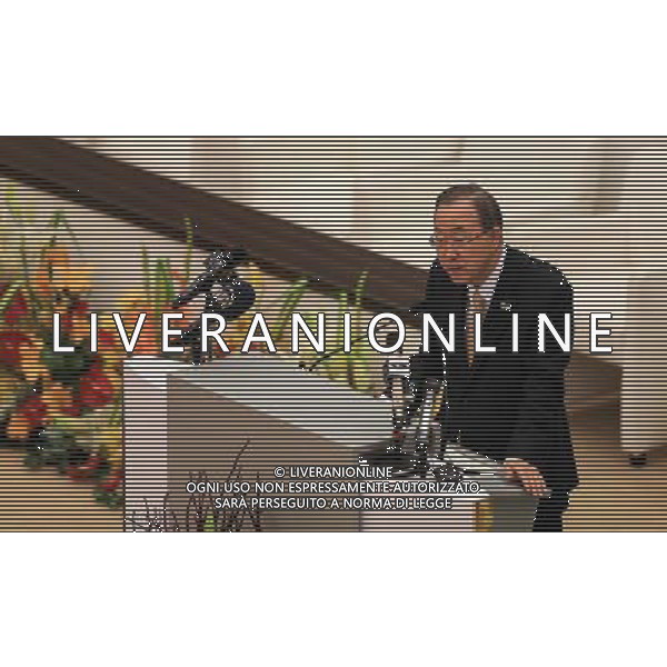 (140626) -- MALABO, June 26, 2014 () -- United Nations Secretary General Ban Ki-Moon addresses the opening ceremony of the 23rd Ordinary Session of the Assembly of African Union (AU) in Malabo, capital of Equatorial Guinea, June 26, 2014. The 23rd Ordinary Session of the Assembly of the AU kicked off here on Thursday with the theme of \'Agriculture and Food Security\'. (/Meng Chenguang) (lyi) ©PHOTOSHOT/Agenzia Aldo Liverani sas - ITALY ONLY - EDITORIAL USE ONLY