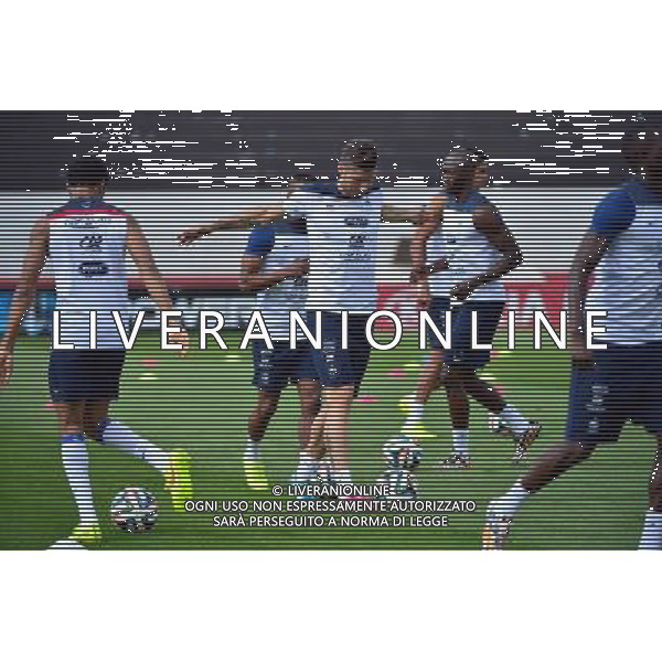 Olivier GIROUD - 28.06.2014 - Entrainement Equipe de France - Coupe du Monde 2014 Photo : Dave Winter / Icon Sport AG ALDO LIVERANI SAS ONLY ITALY