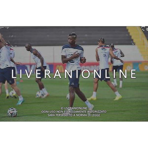 Paul POGBA - 28.06.2014 - Entrainement Equipe de France - Coupe du Monde 2014 Photo : Dave Winter / Icon Sport AG ALDO LIVERANI SAS ONLY ITALY
