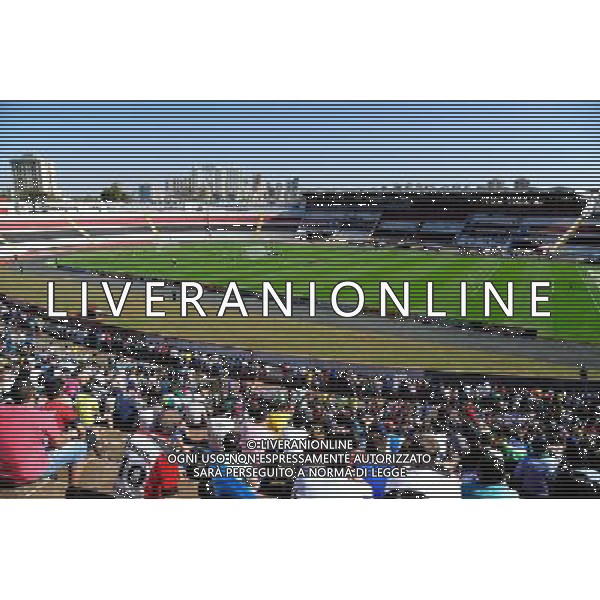 Illustration Supporters - 27.06.2014 - Entrainement Equipe de France - Coupe du Monde 2014 - Photo : Dave Winter / Icon Sport