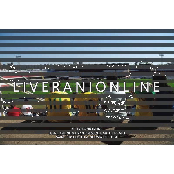 Illustration Supporters - 27.06.2014 - Entrainement Equipe de France - Coupe du Monde 2014 - Photo : Dave Winter / Icon Sport