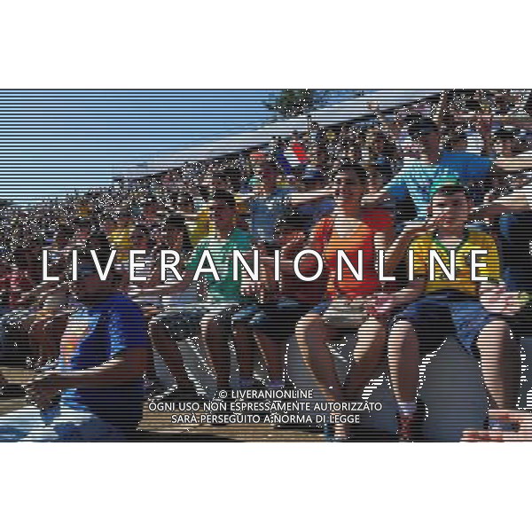 Illustration Supporters - 27.06.2014 - Entrainement Equipe de France - Coupe du Monde 2014 - Photo : Dave Winter / Icon Sport