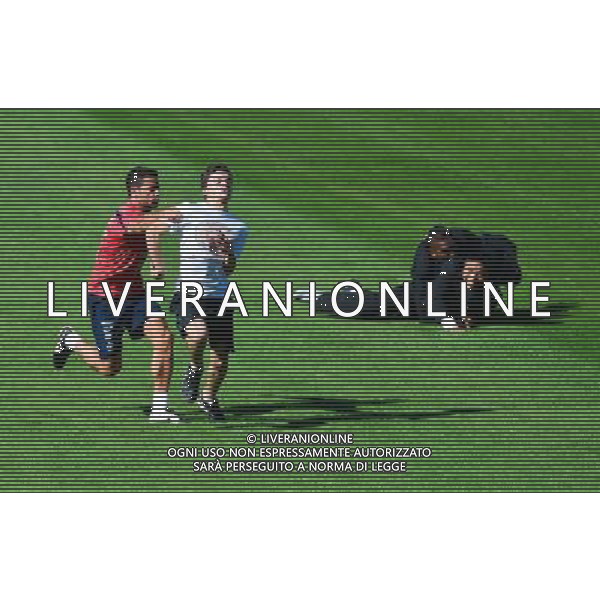 Intrus sur le terrain - 27.06.2014 - Entrainement Equipe de France - Coupe du Monde 2014 - Photo : Dave Winter / Icon Sport