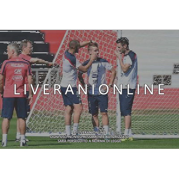 Karim BENZEMA / Antoine GRIEZMANN / Hugo LLORIS - 27.06.2014 - Entrainement Equipe de France - Coupe du Monde 2014 - Photo : Dave Winter / Icon Sport
