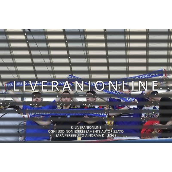 Supporters de France - 25.06.2014 - France / Equateur - Coupe du Monde 2014 - Photo : Dave Winter / Icon Sport AG ALDO LIVERANI SAS ONLY ITALY