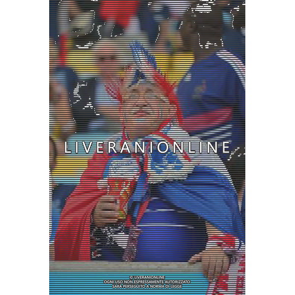 Supporters de France - 25.06.2014 - France / Equateur - Coupe du Monde 2014 - Photo : Dave Winter / Icon Sport AG ALDO LIVERANI SAS ONLY ITALY