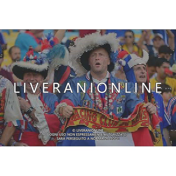 Supporters de France - 25.06.2014 - France / Equateur - Coupe du Monde 2014 - Photo : Dave Winter / Icon Sport AG ALDO LIVERANI SAS ONLY ITALY