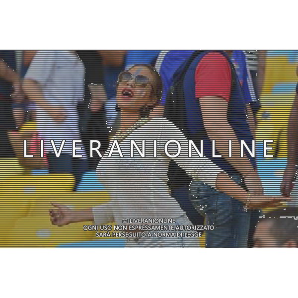 Supporters France - 25.06.2014 - France / Equateur - Coupe du Monde 2014 - Photo : Dave Winter / Icon Sport AG ALDO LIVERANI SAS ONLY ITALY