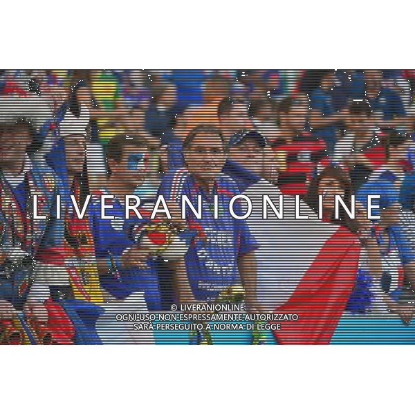 Supporters France / Clement d\'Antibes - 25.06.2014 - France / Equateur - Coupe du Monde 2014 - Photo : Dave Winter / Icon Sport AG ALDO LIVERANI SAS ONLY ITALY