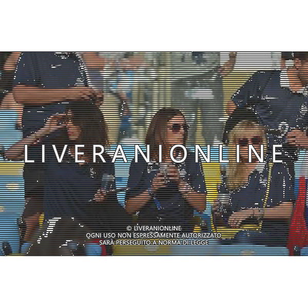 Jennifer GIROUD / copine de Morgan SCHNEIDERLIN? - 25.06.2014 - France / Equateur - Coupe du Monde 2014 - Photo : Dave Winter / Icon Sport AG ALDO LIVERANI SAS ONLY ITALY