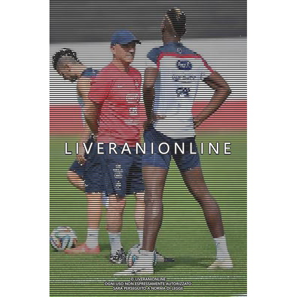 Guy STEPHAN / Paul POGBA - 28.06.2014 - Entrainement Equipe de France - Coupe du Monde 2014 Photo : Dave Winter / Icon Sport AG ALDO LIVERANI SAS ONLY ITALY