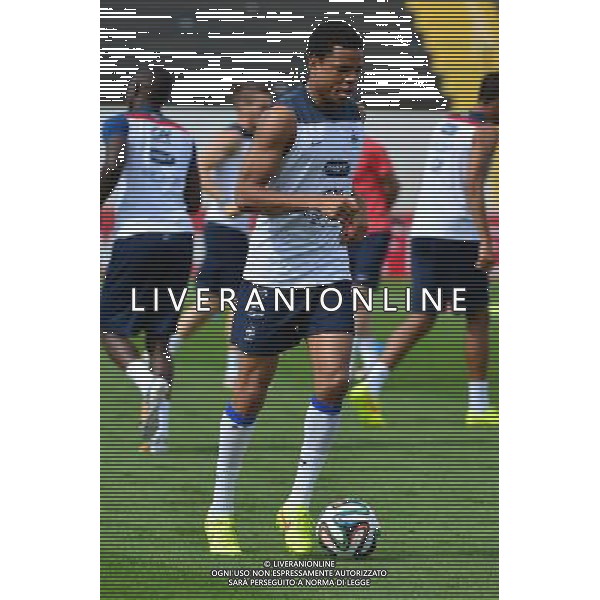 Loic REMY - 28.06.2014 - Entrainement Equipe de France - Coupe du Monde 2014 Photo : Dave Winter / Icon Sport AG ALDO LIVERANI SAS ONLY ITALY