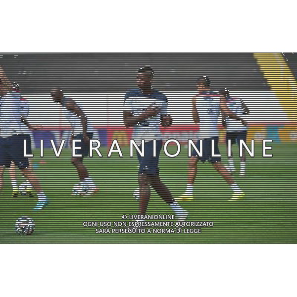 Paul POGBA - 28.06.2014 - Entrainement Equipe de France - Coupe du Monde 2014 Photo : Dave Winter / Icon Sport AG ALDO LIVERANI SAS ONLY ITALY
