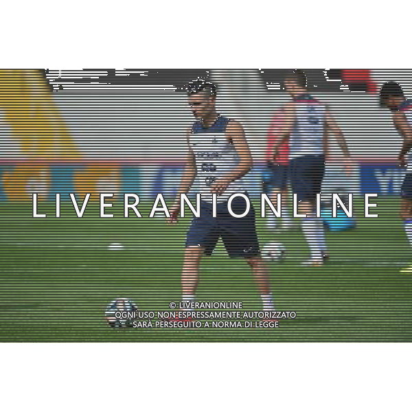 Remy CABELLA - 28.06.2014 - Entrainement Equipe de France - Coupe du Monde 2014 Photo : Dave Winter / Icon Sport AG ALDO LIVERANI SAS ONLY ITALY