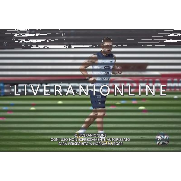 Yohan CABAYE - 28.06.2014 - Entrainement Equipe de France - Coupe du Monde 2014 Photo : Dave Winter / Icon Sport AG ALDO LIVERANI SAS ONLY ITALY