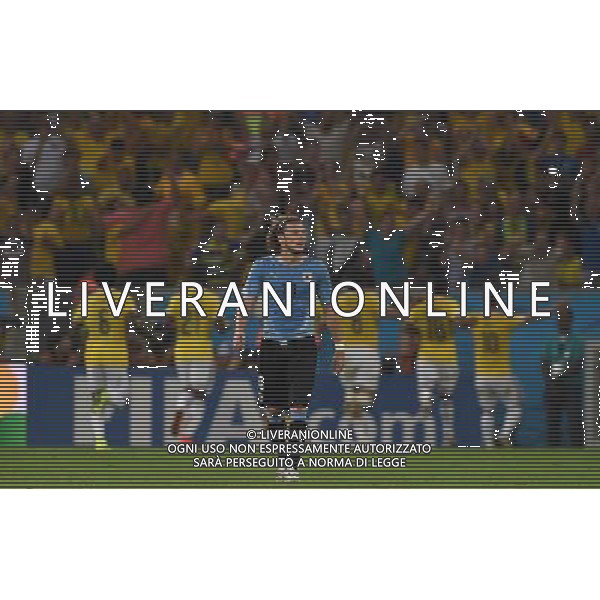 FIFA World Cup Brasile 2014 Ottavi di Finale Rio de Janeiro - 28.06.2014 Colombia-Uruguay Nella Foto:delusione forlan /Ph.Vitez-Ag. Aldo Liverani