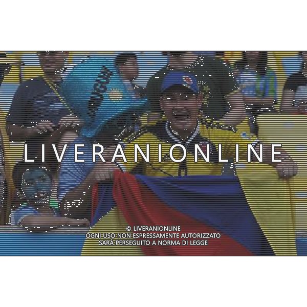 FIFA World Cup Brasile 2014 Ottavi di Finale Rio de Janeiro - 28.06.2014 Colombia-Uruguay Nella Foto:Tifosi Colombia /Ph.Vitez-Ag. Aldo Liverani