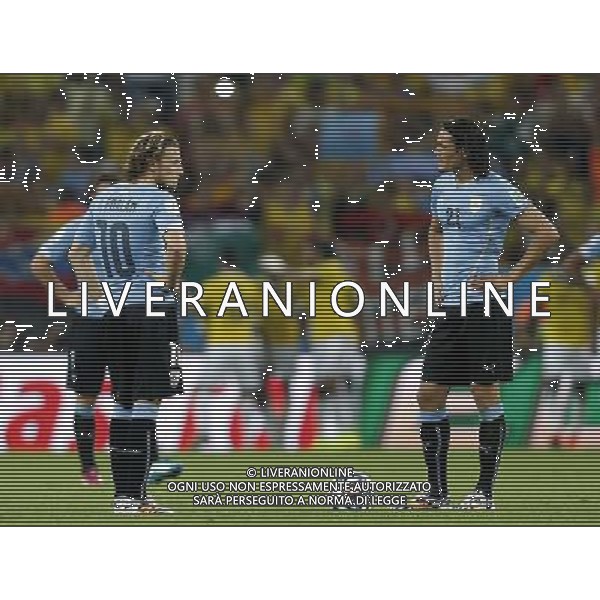 (140628) -- RIO DE JANEIRO, June 28, 2014 () -- Uruguay\'s Diego Forlan (L, front) and Edinson Cavani (R, front) react after Colombia\'s James Rodriguez scored second goal during a Round of 16 match between Colombia and Uruguay of 2014 FIFA World Cup at the Estadio do Maracana Stadium in Rio de Janeiro, Brazil, on June 28, 2014. Colombia won 2-0 over Uruguay and qualified for Quarter-finals on Saturday.(/Wang Lili)(pcy) ©PHOTOSHOT/Agenzia Aldo Liverani sas - ITALY ONLY - EDITORIAL USE ONLY - Uruguay vs Colombia Coppa del Mondo FIFA 2014 Estadio do Stadio Maracana\' di Rio de Janeiro, in Brasile, il 28 giugno 2014. La Colombia ha vinto per 2-0 contro l\'Uruguay e si qualifica per Quarti di finale