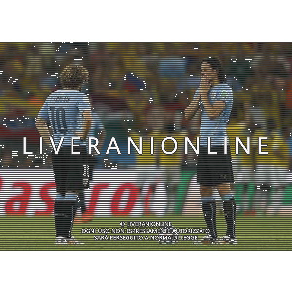 (140628) -- RIO DE JANEIRO, June 28, 2014 () -- Uruguay\'s Diego Forlan (L) and Edinson Cavani react after Colombia\'s James Rodriguez scored his second goal during a Round of 16 match between Colombia and Uruguay of 2014 FIFA World Cup at the Estadio do Maracana Stadium in Rio de Janeiro, Brazil, on June 28, 2014. Colombia won 2-0 over Uruguay and qualified for Quarter-finals on Saturday.(/Wang Lili)(pcy) ©PHOTOSHOT/Agenzia Aldo Liverani sas - ITALY ONLY - EDITORIAL USE ONLY - Uruguay vs Colombia Coppa del Mondo FIFA 2014 Estadio do Stadio Maracana\' di Rio de Janeiro, in Brasile, il 28 giugno 2014. La Colombia ha vinto per 2-0 contro l\'Uruguay e si qualifica per Quarti di finale