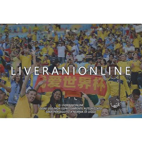(140628) -- RIO DE JANEIRO, June 28, 2014 () -- Chinese football fans pose with a banner before a Round of 16 match between Colombia and Uruguay of 2014 FIFA World Cup at the Estadio do Maracana Stadium in Rio de Janeiro, Brazil, on June 28, 2014.(/Wang Yuguo)(rh) ©PHOTOSHOT/Agenzia Aldo Liverani sas - ITALY ONLY - EDITORIAL USE ONLY - Uruguay vs Colombia Coppa del Mondo FIFA 2014 Estadio do Stadio Maracana\' di Rio de Janeiro, in Brasile, il 28 giugno 2014. La Colombia ha vinto per 2-0 contro l\'Uruguay e si qualifica per Quarti di finale