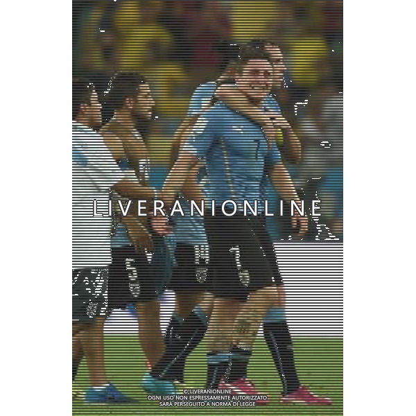 (140628) -- RIO DE JANEIRO, June 28, 2014 () -- Uruguay\'s Cristian Rodriguez leaves the field after a Round of 16 match between Colombia and Uruguay of 2014 FIFA World Cup at the Estadio do Maracana Stadium in Rio de Janeiro, Brazil, on June 28, 2014. Colombia won 2-0 over Uruguay on Saturday. (/Wang Yuguo)(rh) AG ALDO LIVERANI SAS ONLY ITALY
