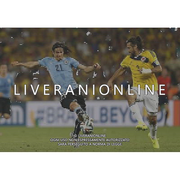 (140628) -- RIO DE JANEIRO, June 28, 2014 () -- Uruguay\'s Edinson Cavani (L) vies with Colombia\'s Mario Yepes during a Round of 16 match between Colombia and Uruguay of 2014 FIFA World Cup at the Estadio do Maracana Stadium in Rio de Janeiro, Brazil, on June 28, 2014.(/Wang Lili)(pcy) AG ALDO LIVERANI SAS ONLY ITALY